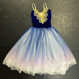 Blue and White ombré Ballet Dress